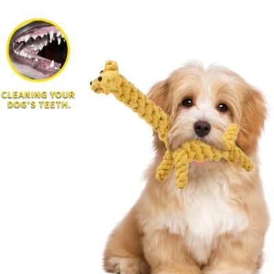 Cute Dog Chew Toy Cotton, Dog Toys Rope Bite Resistant