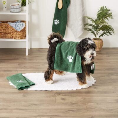 Set-of-3 Pet Grooming Towel Collection Embroidered Absorbent - Green